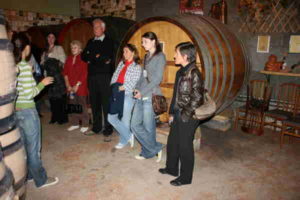Wine tour in the Rhone Wine tour in the Rhone