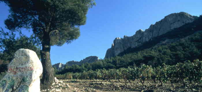 Vineyards in the Dentelles de Montmirail - J THIBHOUT coll CDT84