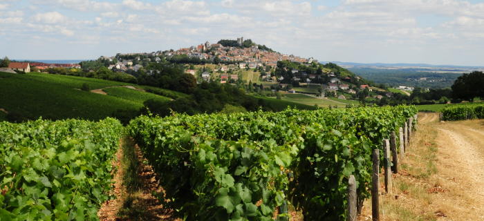 Sancerre wine Tour © photo Patrice Régnier (13)