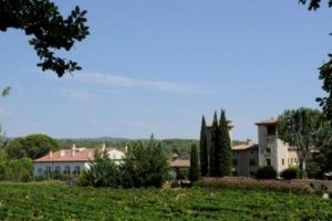 Ultimate French Wine Tour