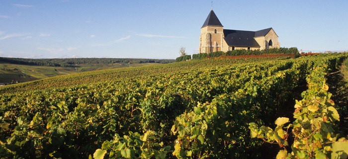 hampagne Harvest Tour ©JM.Lecomte
