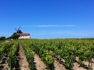 champagne-tour-in-france-3