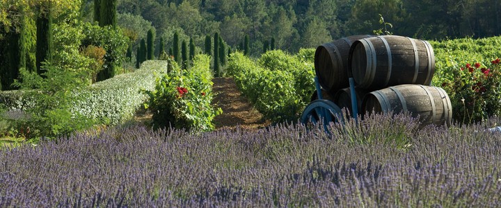Team Building Wine Tasting- Credits Chateau de Berne